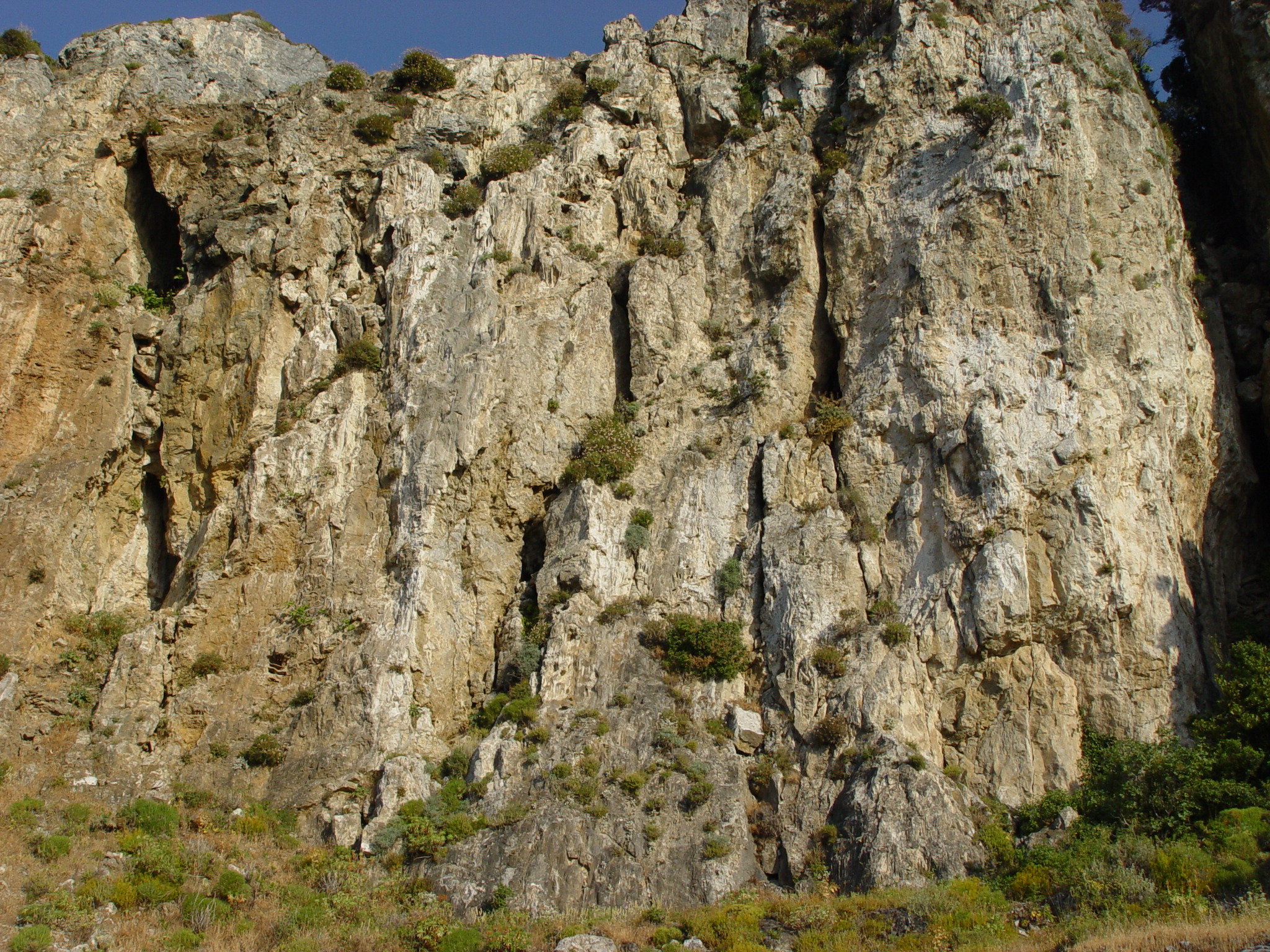 Εικόνα επιλογής